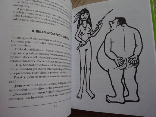 PŘÍLIŠ TLUSTÝ DOBRODRUH, MILOSLAV ŠVANDRLÍK, NEPRAKTA, **an