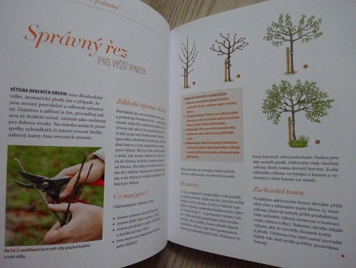 OVOCNÉ DŘEVINY A BOBULOVINY, KATHARINA ADAMSOVÁ, **an