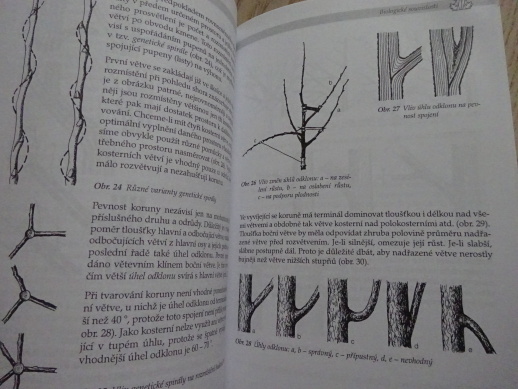ŘEZ OVOCNÝCH STROMŮ A KEŘŮ, JAN KADLEC, **an