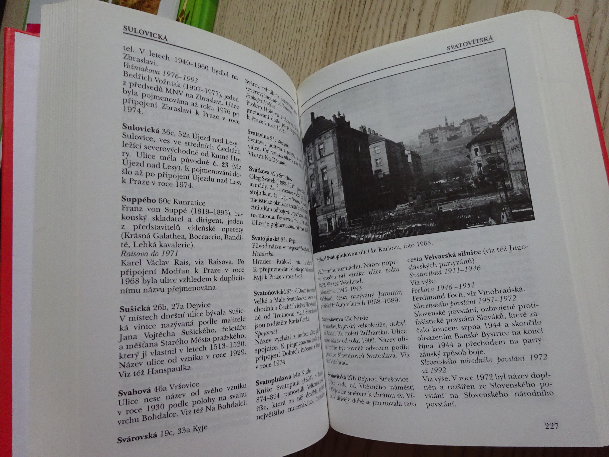 PRAŽSKÝ ULIČNÍK, LAŠŤOVKA, LEDVINKA, PRAHA, **an