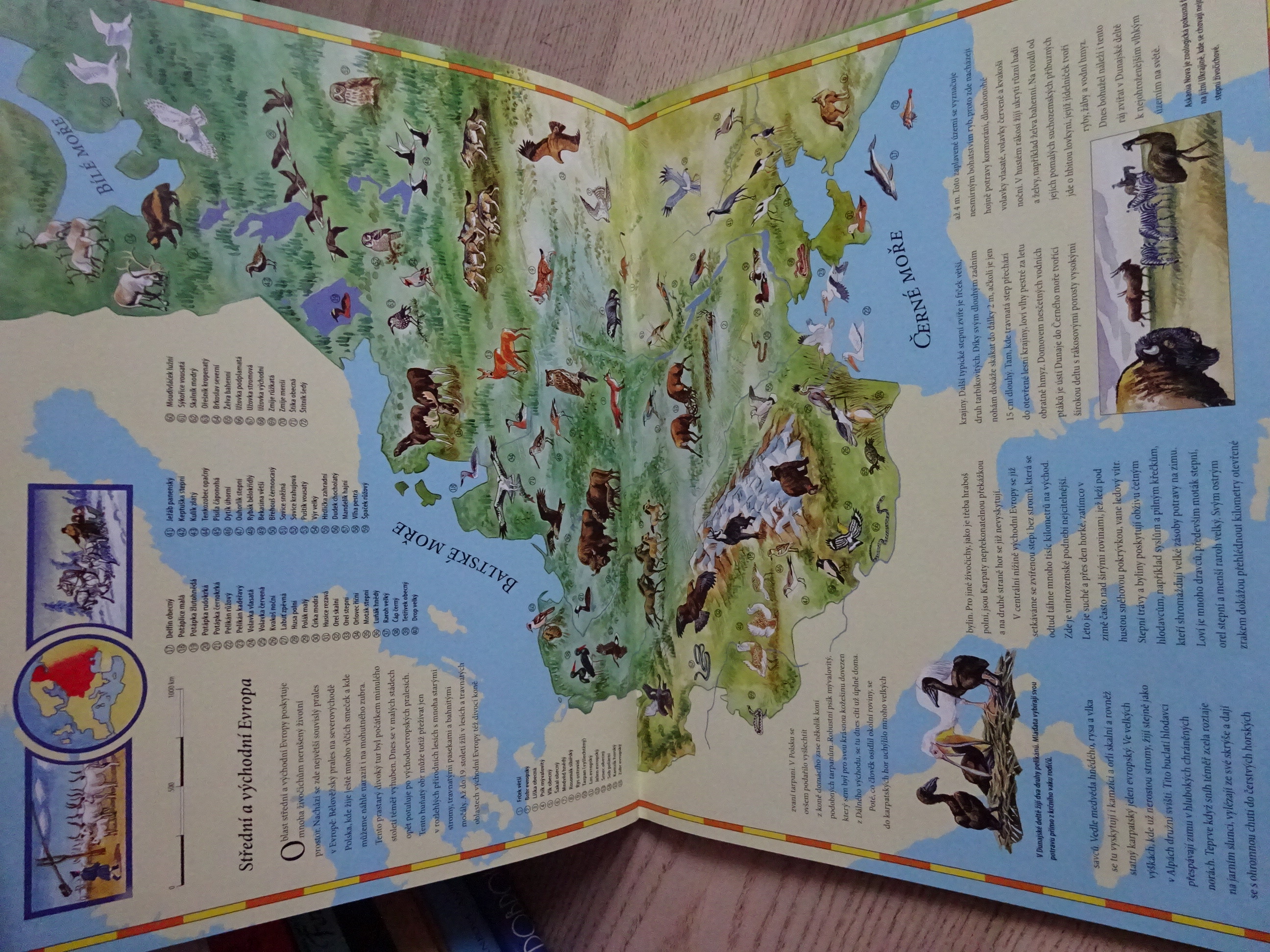 VELKÝ DĚTSKÝ ATLAS ZVÍŘAT, **an