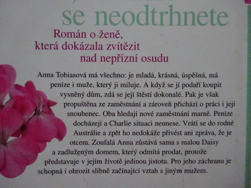 JE ČAS ZAČÍT ZNOVU, DIANA STAINFORTHOVÁ, **an