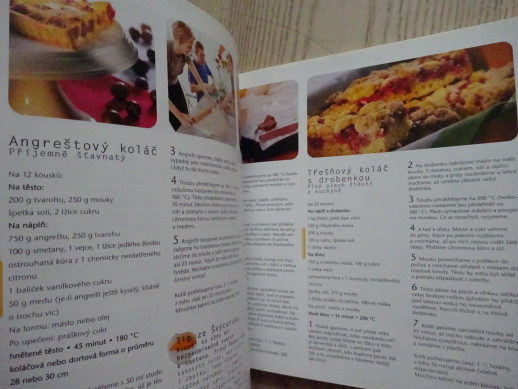 BASIC BAKING, VŠECHNO, CO POTŘEBUJETE VĚDĚT, ABYSTE UPEKLI SNADNO A DOBŘE, SCHINHARLOVÁ, DICKHAUT, **an