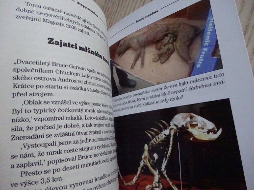 STOPY NEZNÁMA, ARNOŠT VAŠÍČEK, **an