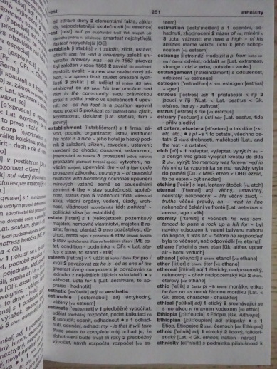 VELKÝ AMERICKO-ČESKÝ SLOVNÍK, SINCLAIR NICHOLAS, **an
