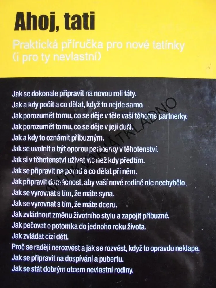 AHOJ, TATI, PŘÍRUČKA PRO NOVÉ TATÍNKY I NEVLASTNÍ, **an