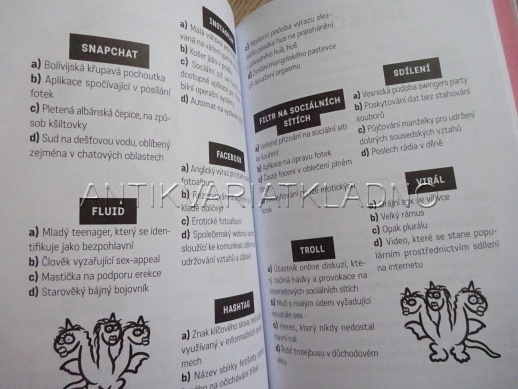 STARÁ TLUSTÁ BLBÁ ANEB STB ZASAHUJE, FINKOVÁ, CHRISTOVOVÁ, PIRICHOVÁ, **an