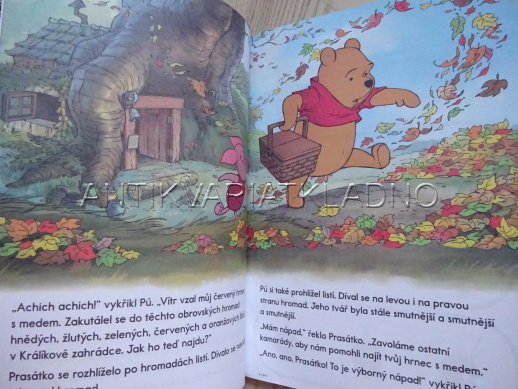 ZÁKLADY ČTENÍ, ČESKÝ JAZYK, **an