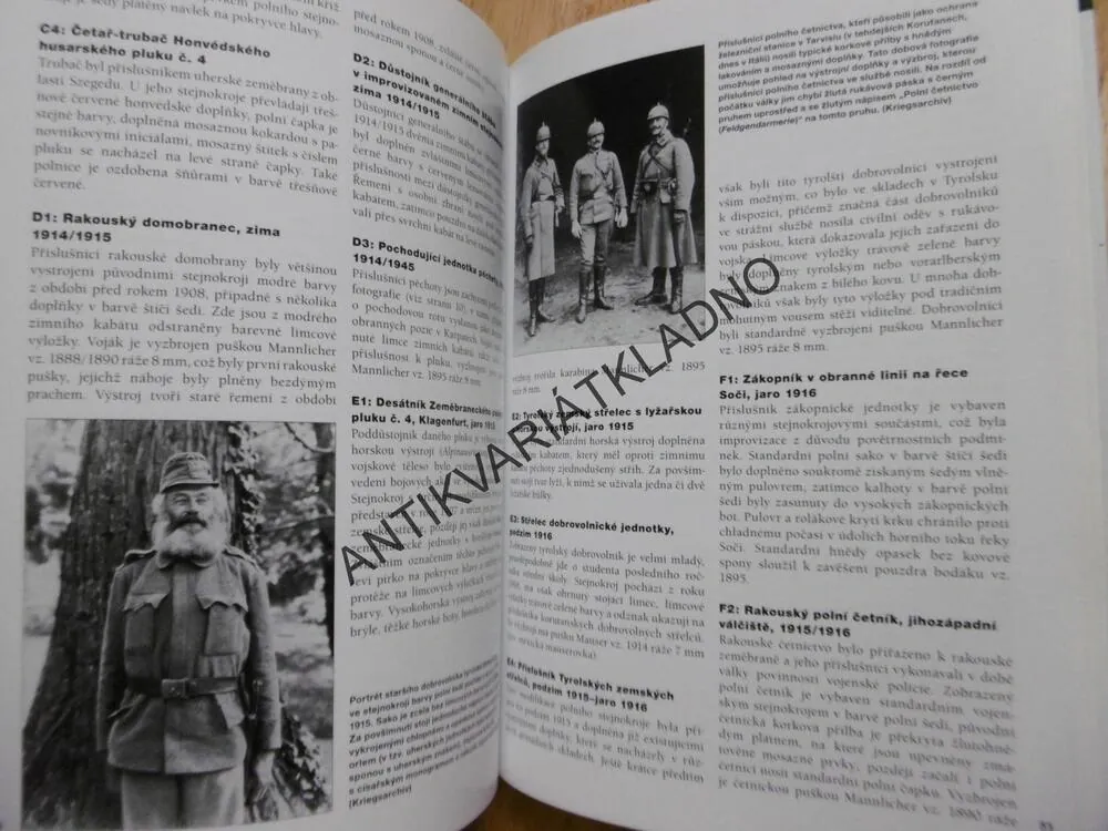 RAKOUSKO-UHERSKÁ ARMÁDA ZA PRVNÍ SVĚTOVÉ VÁLKY, JUNG, PAVLOVIČ