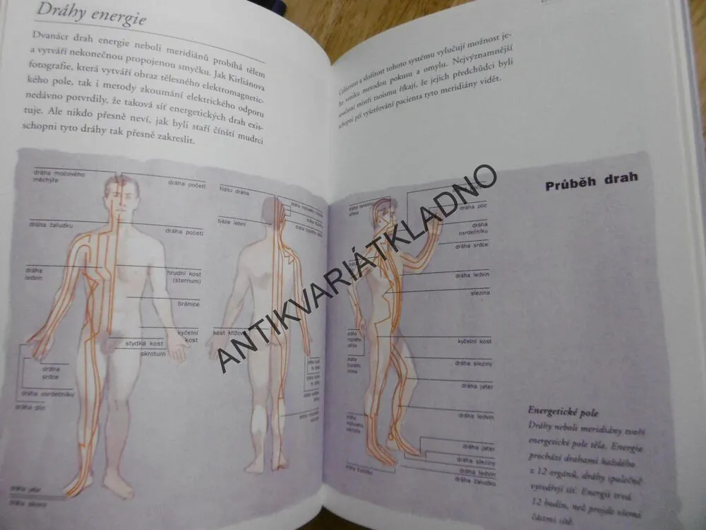 TAO, SEXUÁLNÍ MASÁŽE, RUSSELL, KOLB, **an