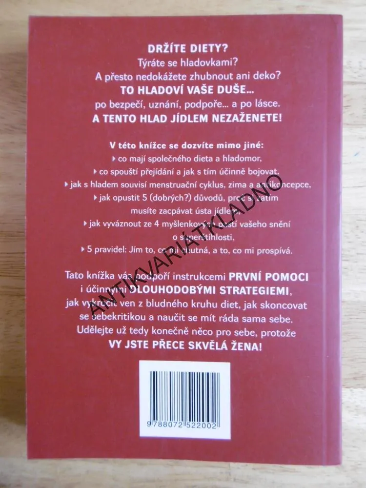 MÍSTO ČINU LEDNIČKA, KDYŽ SE Z JÍDLA STANE PROBLÉM,GÖCKEL, **an