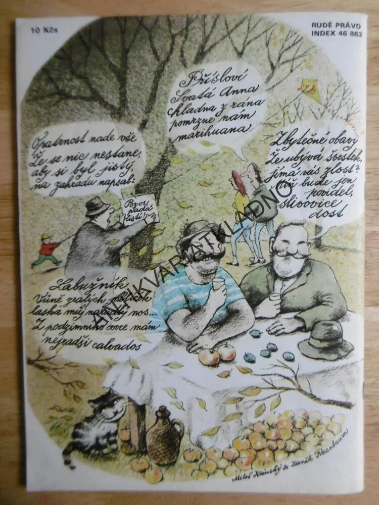 MAGAZÍN DIKOBRAZU, 3/89
