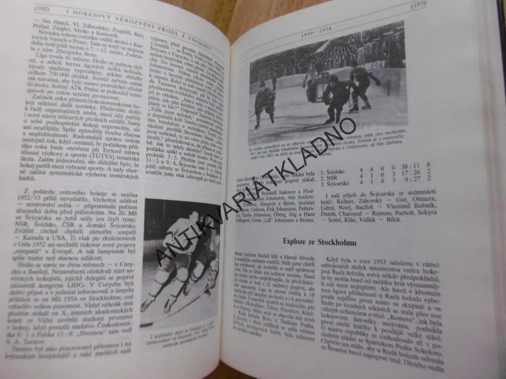 SVĚTOVÝ HOKEJ, KAREL GUT, VLK
