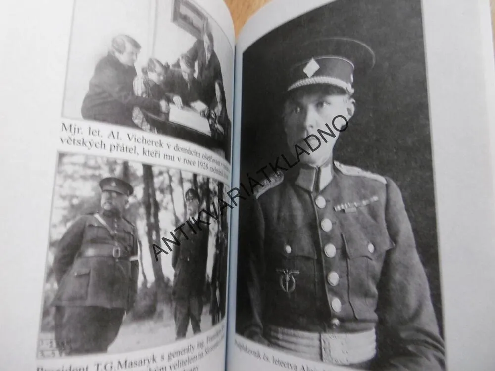 AGÓNIE SVĚDOMÍ, GENERÁL VICHEREK