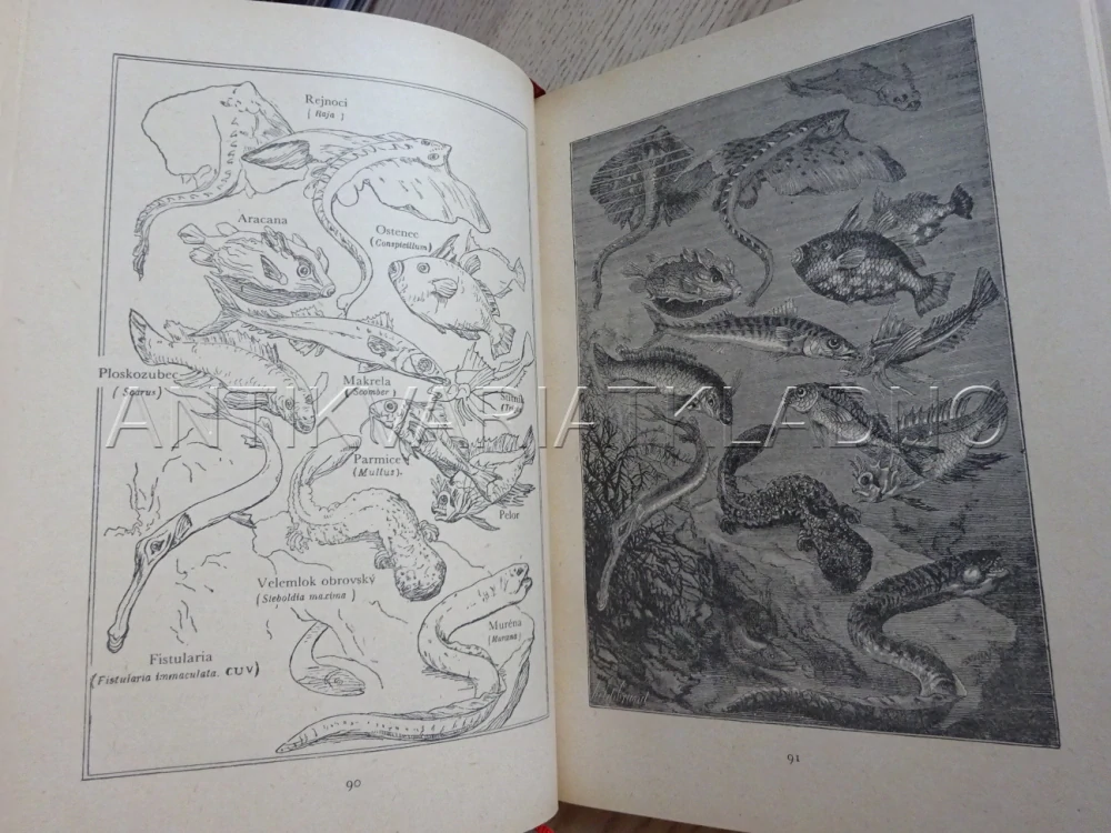 DVACET TISÍC MIL POD MOŘEM, JULES VERNE, 1959, **an