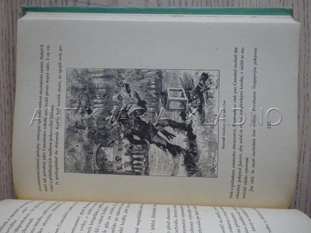 OCEÁNEM NA KŘE LEDOVÉ, JULES VERNE, **an