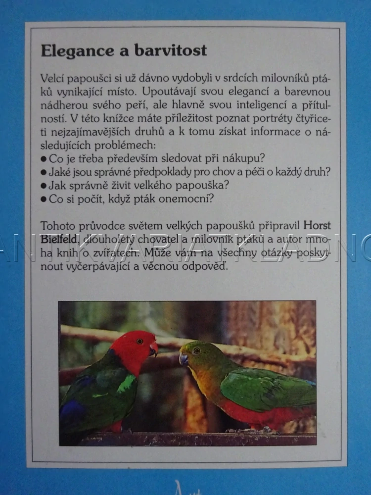 VŠECHNO O VELKÝCH PAPOUŠCÍCH, HORST BIELFELD, **an