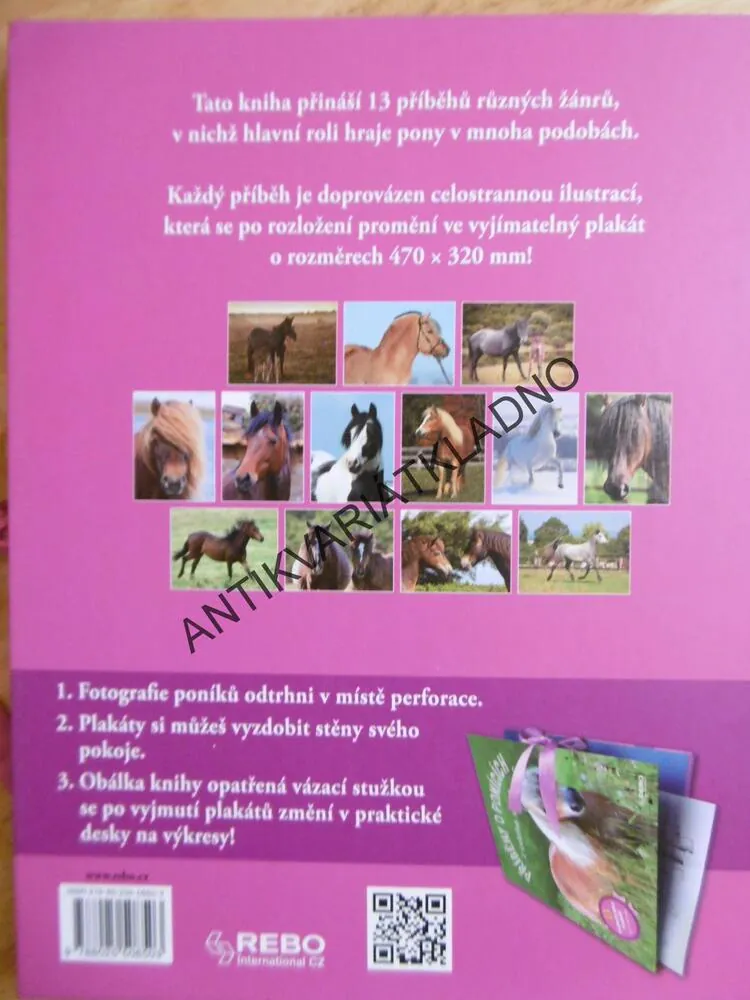PŘÍBĚHY O PONÍCÍCH Z CELÉHO SVĚTA