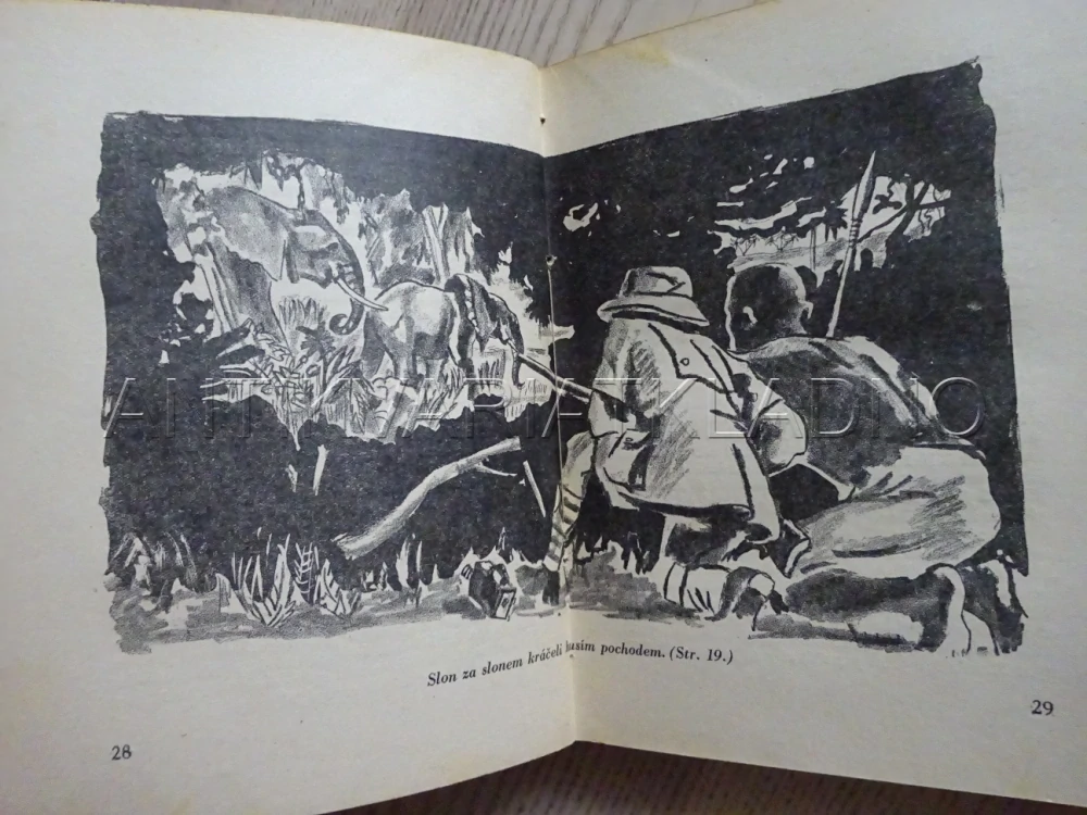 ZA ZVĚŘÍ NEZNÁMOU AFRIKOU, C. COURT TREATT, **an