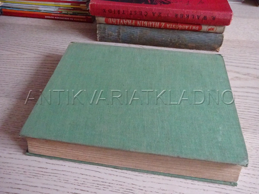 DOBRODRUŽNÉ PRÁZDNINY, FIŠER-HERRMANN, **an