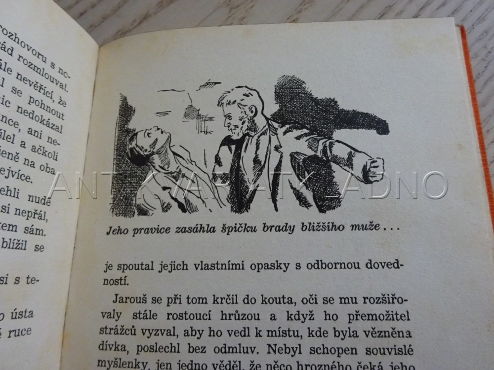 FRANTÍK A VYDĚRAČI, VLÁĎA ZÍKA, **an