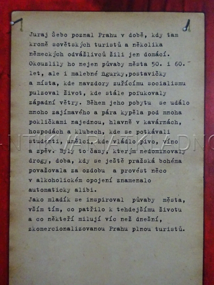 O SOCIALISMU S LÁSKOU, JURAJ ŠEBO, **an
