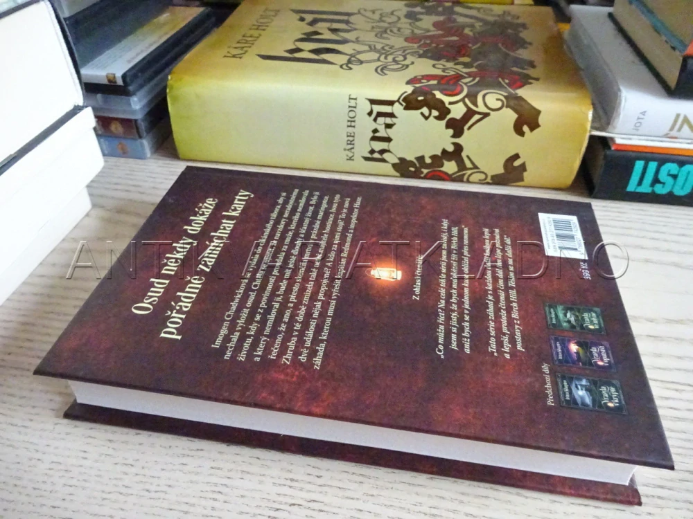 VRAŽDA V MARINGOTCE, ZÁHADY REDMONDA A HAZE 4, IRINA SHAPIRO, **an