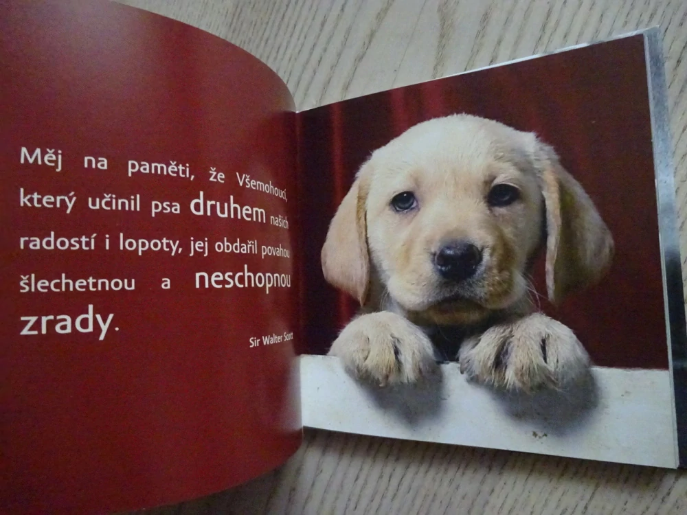 VÝROKY SLAVNÝCH O PSECH, MILLY BROWN,**an