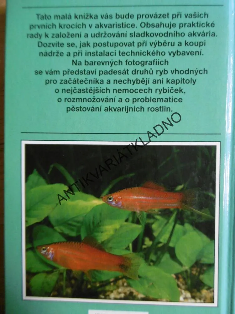AKVÁRIUM, ILUSTROVANÁ PŘÍRUČKA PRO ZAČÍNAJÍCÍ AKVARISTY, DICK MILLS, **an