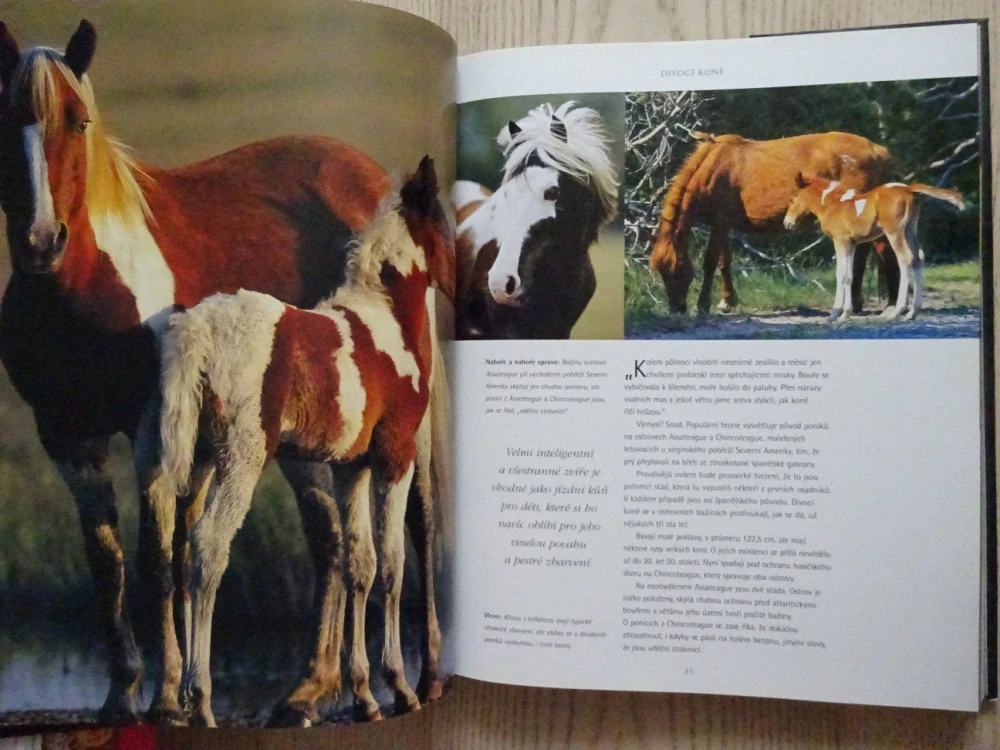 DUCH KONÍ, BOB LANGRISH, NICOLA JANE SWINNEYOVÁ, **an