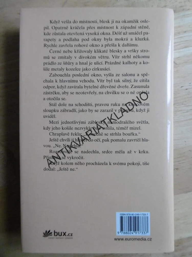 TICHÝ MUŽ, SANDRA BROWN, **an