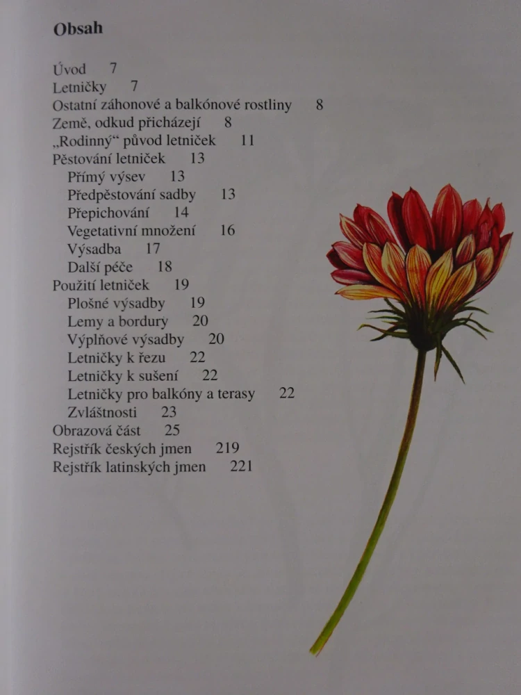 LETNIČKY A DVOULETKY, VÁCLAV VĚTVIČKA, ZDENKA KREJČOVÁ, **an