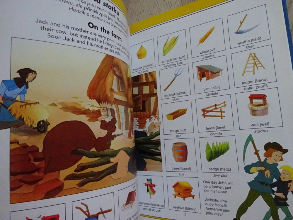 MOJE PRVNÍ KNÍŽKA ANGLIČTINY, MY FIRST WORDBOOK, DISNEY, **an