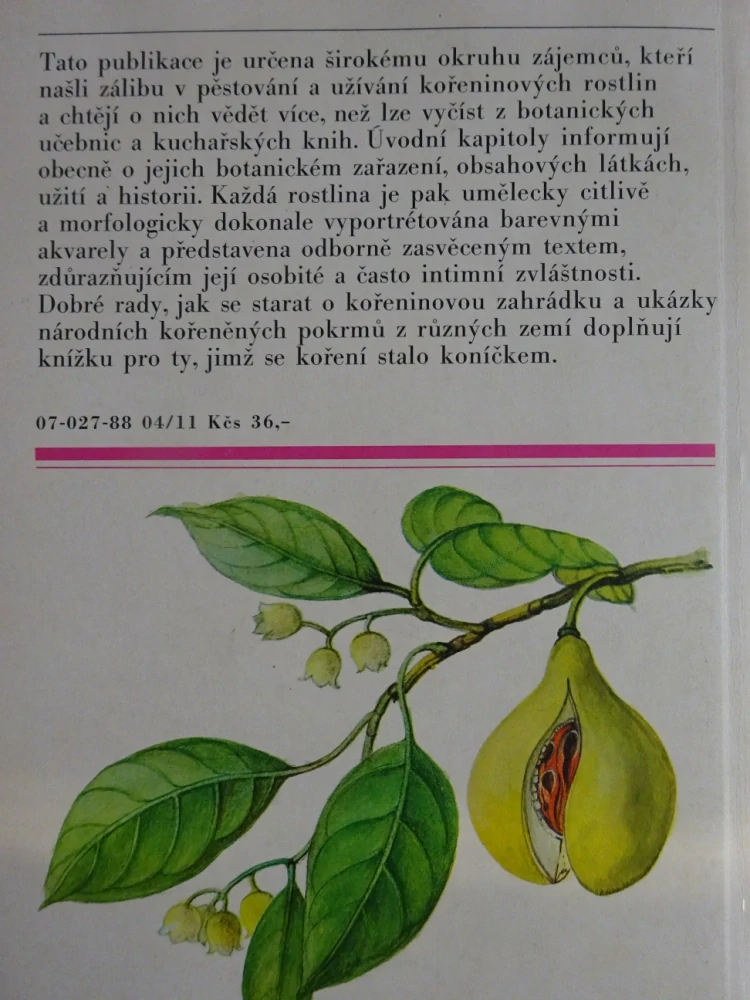 NAŠE A CIZÍ KOŘENÍ, JIŘINA KAPLICKÁ, JAN KYBAL, **an