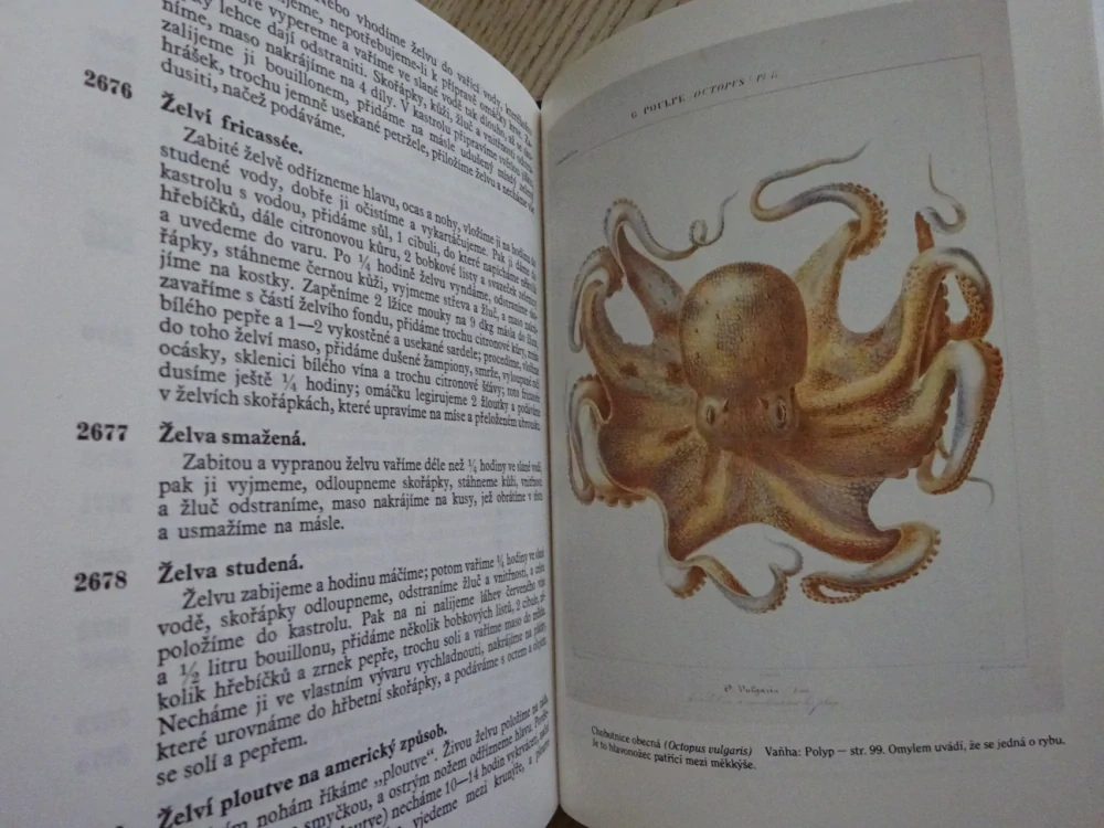 RYBÍ KUCHYNĚ, JINDŘICH VAŇHA, **an