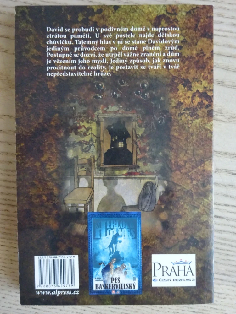 NÁVRAT DO ÚDOLÍ STÍNŮ, PETR KOPL, **an
