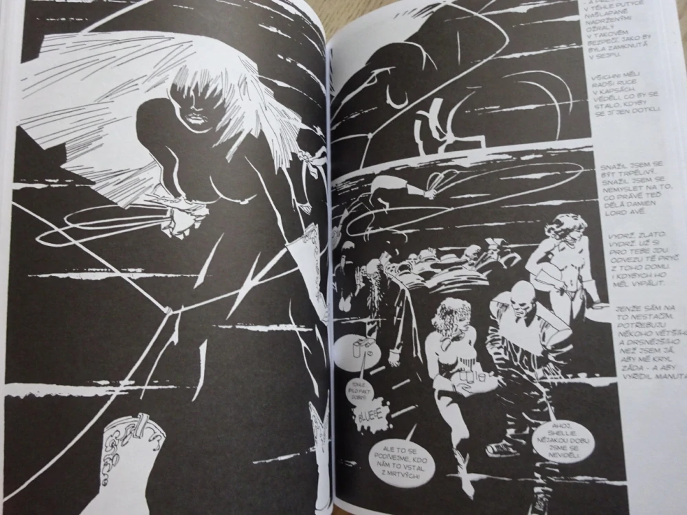 DÁMA, PRO KTEROU SE ZABÍJÍ, PŘÍBĚH ZE SIN CITY, FRANK MILLER, **an