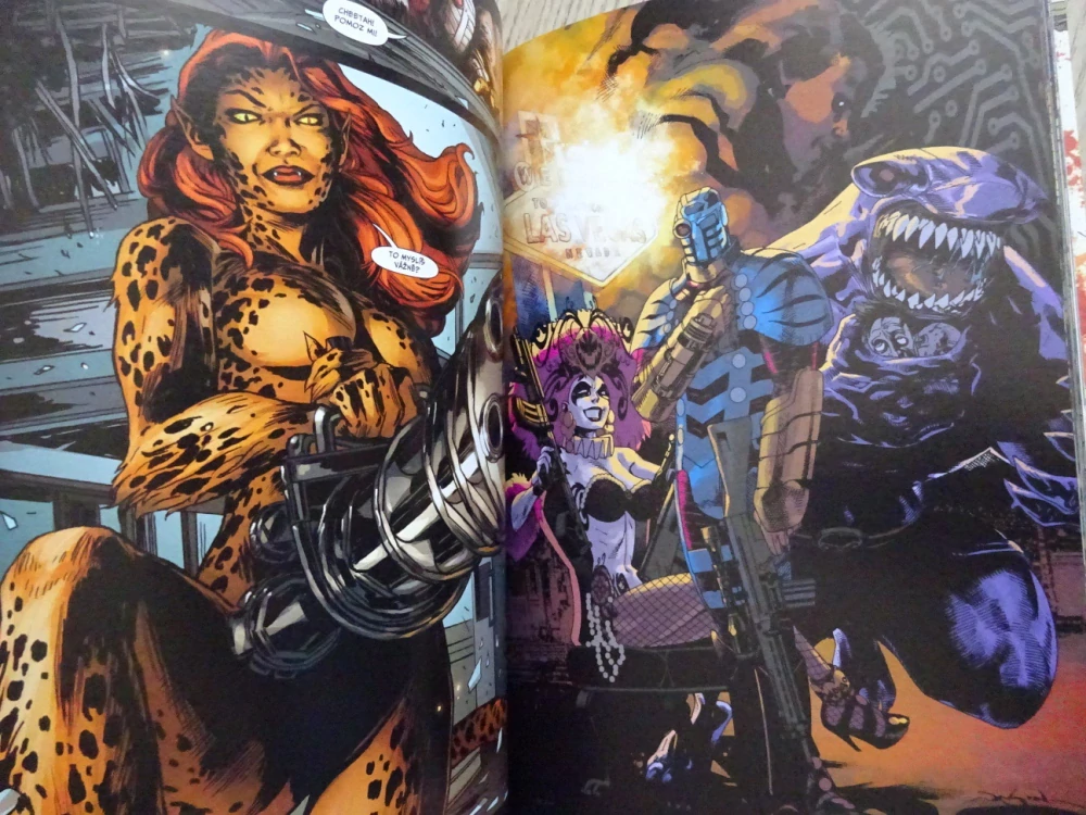 SEBEVRAŽEDNÝ ODDÍL, VÝCHOVA A TREST, KOMIKS DC COMICS, **an