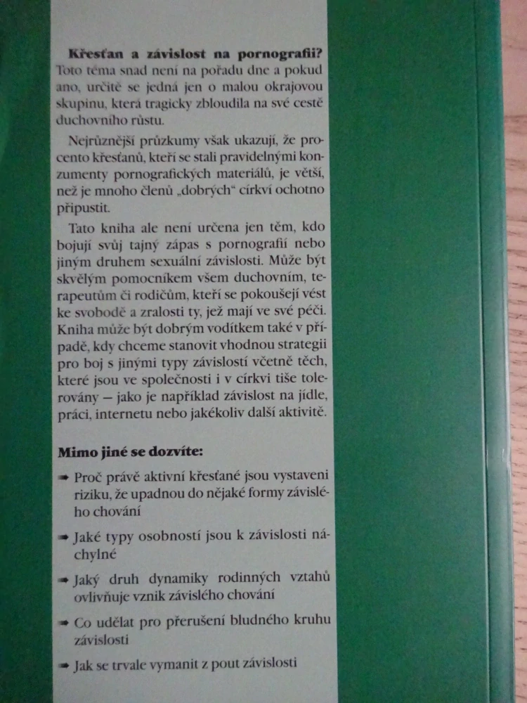 V ZAJETÍ PORNOGRAFIE, RALPH H. EARLE, MARK R. LAASER, **an