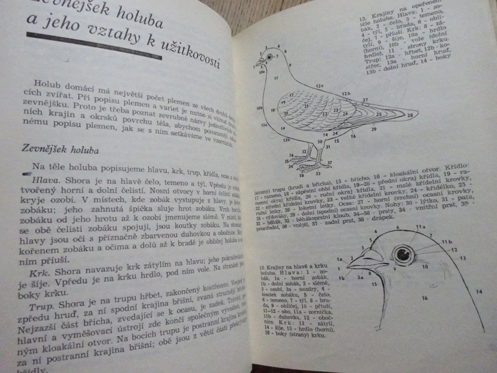 CHOV HOLUBŮ, BUREŠ A KOL., **an