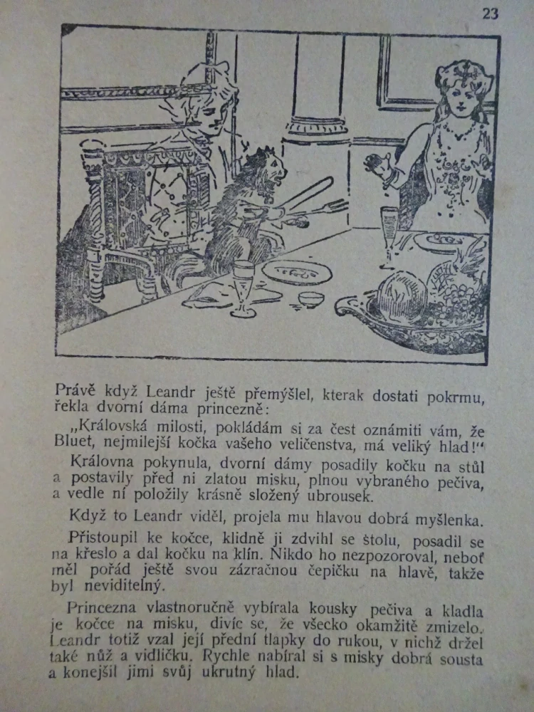 NEVIDITELNÝ PRINC A JINÉ, POHÁDKY Z CELÉHO SVĚTA SV. 13 (MNOHÉ FANTASY)