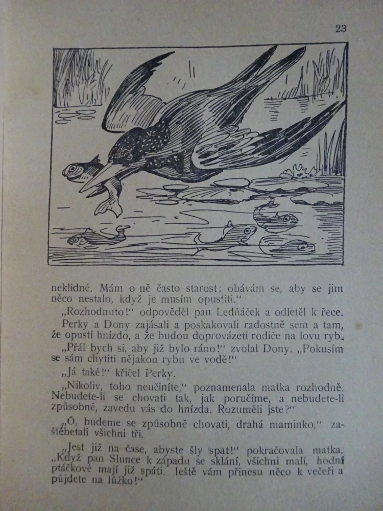 ZLATÝ RYTÍŘ A JINÉ, POHÁDKY Z CELÉHO SVĚTA SV. 37 (MNOHÉ FANTASY)