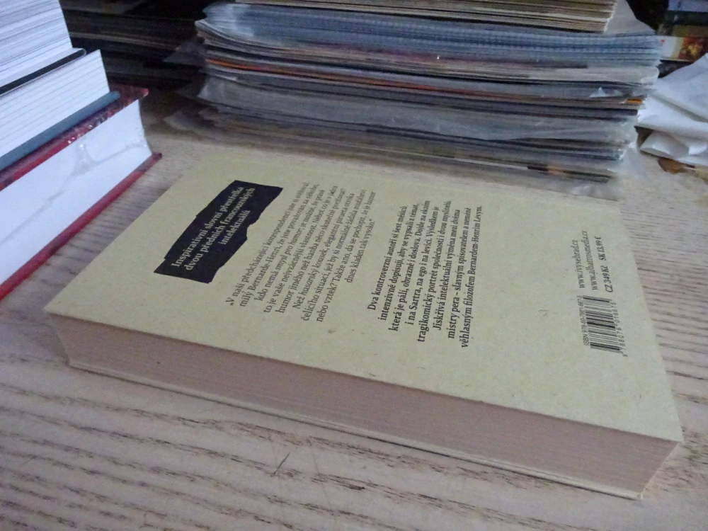 VEŘEJNÍ NEPŘÁTELÉ, MICHEL HOUELLEBECQ, BERNARD-HENRI LÉVY, **an