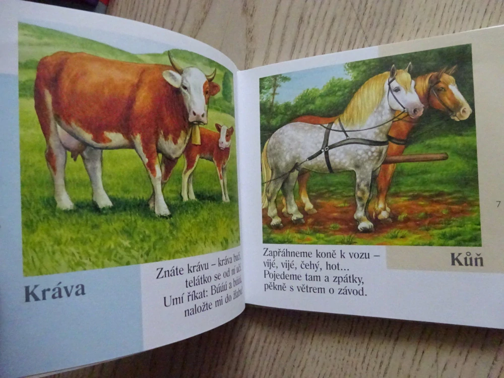 KAMARÁDI ZVÍŘÁTKA, JIŘÍ ŽÁČEK, **an
