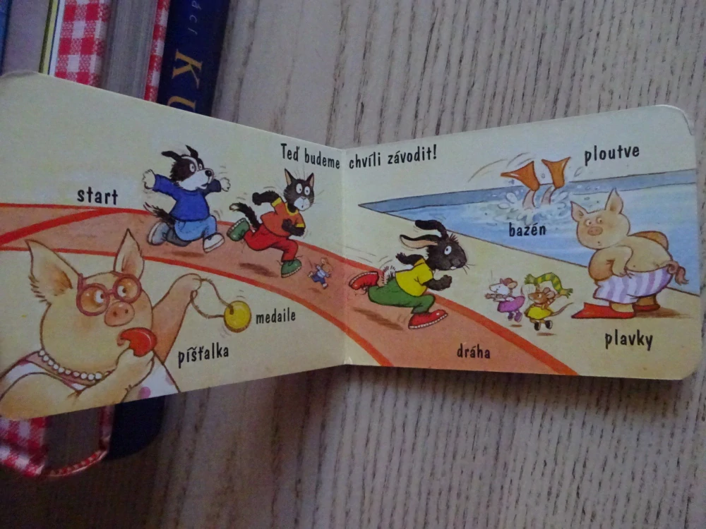 VE ŠKOLE, **an