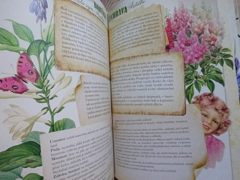 OKOUZLUJÍCÍ ZAHRADY, KLÁRA TRNKOVÁ, **an