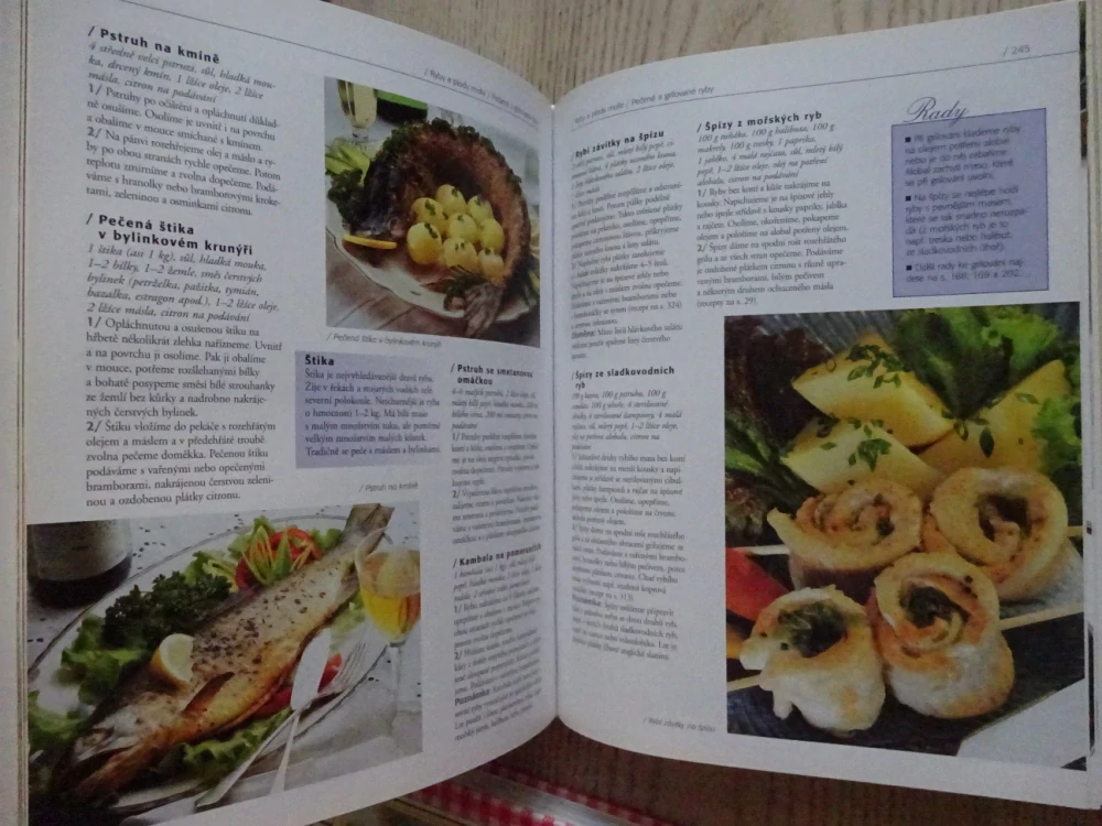 VELKÁ DOMÁCÍ KUCHAŘKA, NODL, MANDŽUKOVÁ, HAVLŮ, **an