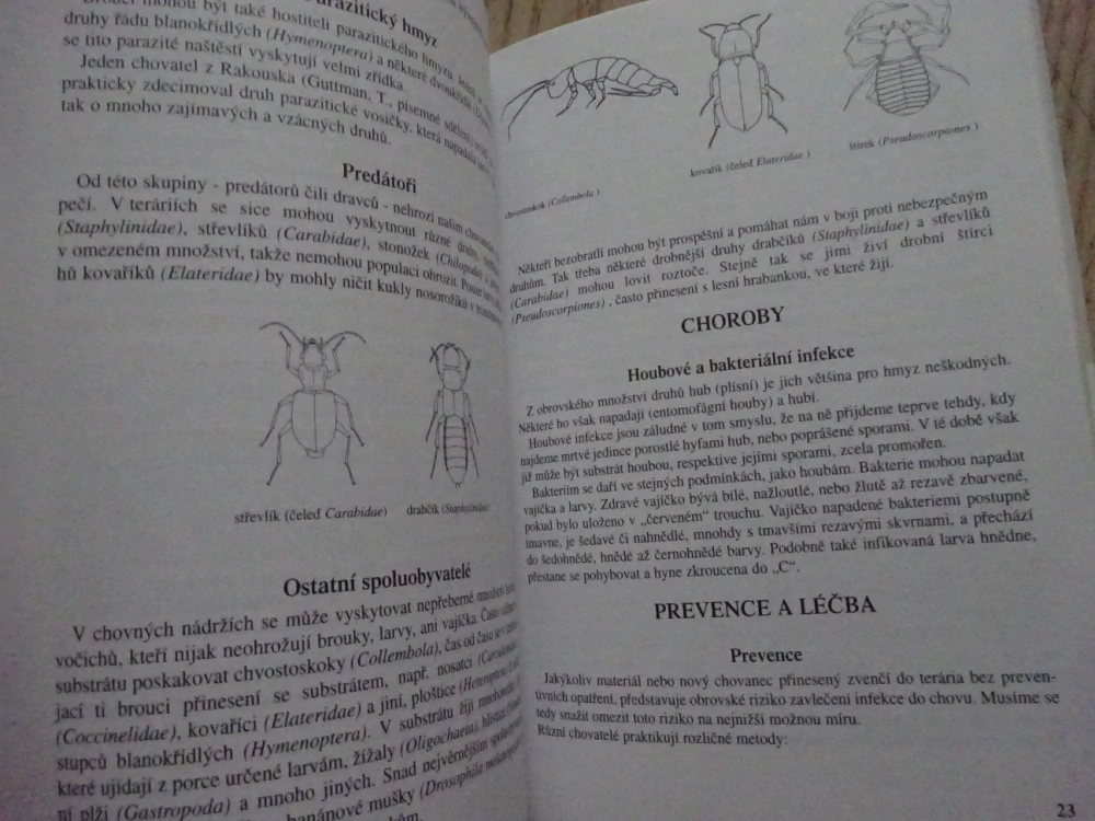ŽIVÉ DRAHOKAMY V TERÁRIÍCH, PETR ČUŘÍK, **an