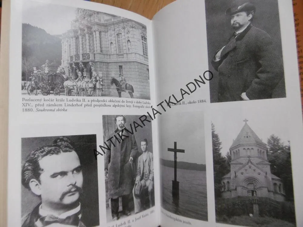 ŠÍLENÝ KRÁL, ŽIVOTOPIS LUDVÍKA II. BAVORSKÉHO, GREG KING