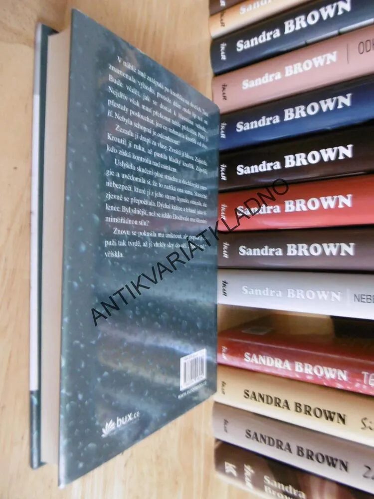 TEXAS, ODHODLANÝ CHASE, SANDRA BROWN, **an